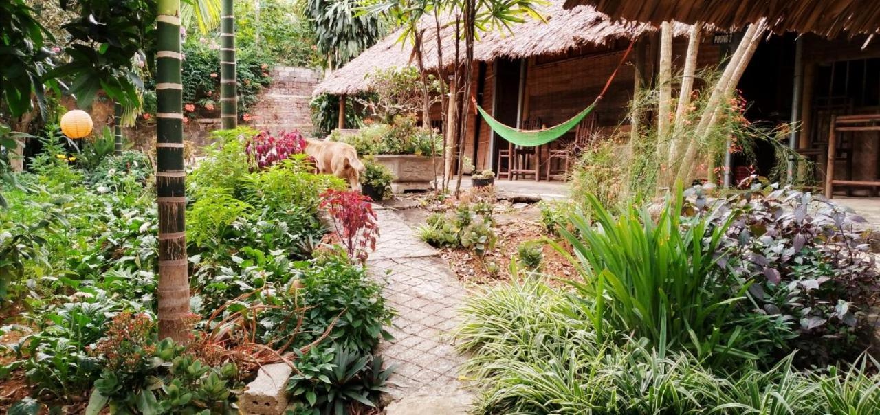 Family Homestay Ba Vi Esterno foto