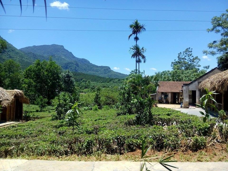 Family Homestay Ba Vi Esterno foto