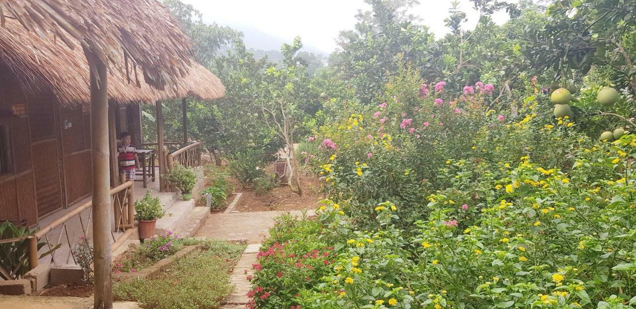 Family Homestay Ba Vi Esterno foto